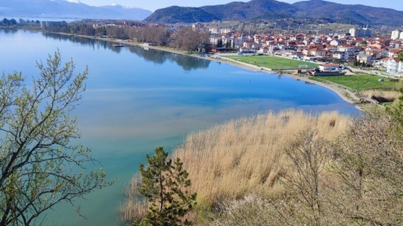 Фекални бактерии како ендемски видови во Охридското Езеро  