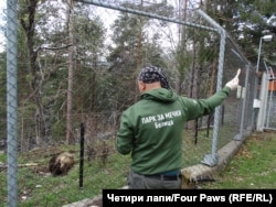  Димитър Иванов 