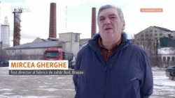 Mircea Gherghe vorbește despre decăderea fabricii de zahăr Bod, după privatizarea acesteia la finalul anilor '90.