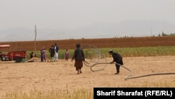 ارشیف: په ارزګان کې وچکالۍ او د اوبو کمښت خلک ګڼو ستونزو سره مخ کړي دي.