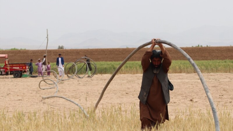 طالبان: تېر کال نږدې ۲۰ میلیونه افغانان د اقلیمي بدلون له کبله اغېزمن شوي