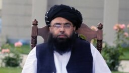 د طالبانو د ريیس الوزرا سیاسي مرستیال مولوي کبیر