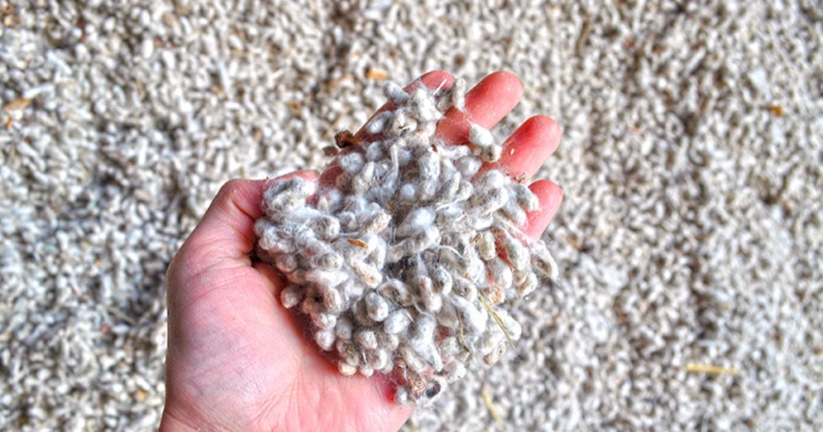 Өзбек әншісі Шахзодамен секс