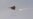 India Launches 'Preemptive' Air Strike On Pakistan-Based Militants