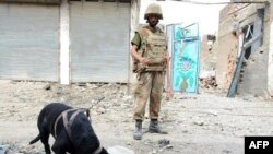 Pakistani soldiers using a sniffer dog to search an area during a military operation against Taliban militants in the town of Miran Shah in North Waziristan in July 2014.