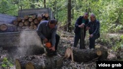Pe fondul crizei de combustibili, Moldova riscă să rămână fără păduri