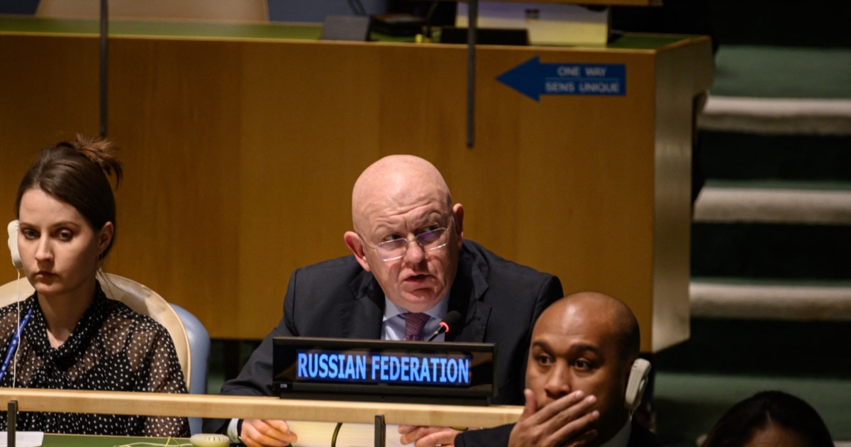 Ukraine Calls Russia's UN Security Council Presidency 'Slap In The Face'