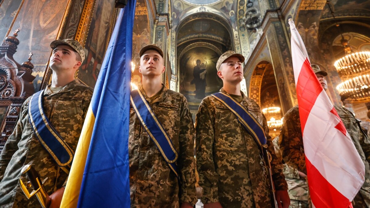 У Грузії пропонують визначити статус бійців, які воюють в Україні У Грузії пропонують визначити статус бійців, які воюють в Україні