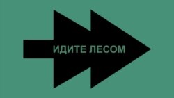 Время Свободы: "Тот, кто нынче дезертир, сто пудов спасает мир". 29 февраля - День дезертира