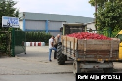 Transport paprika do otkupnog centra.