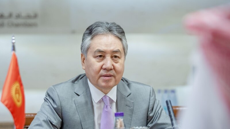 Тышкы иштер министри кыргыз-тажик мамилеси тууралуу маалымат берди  