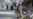 په کوټه کې بمي چاودنې د پوځ یو افسر وژلی دی