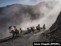 Ididze and horse caretaker Irakli Kotilaidze drive horses up the only road out of the Tusheti highlands.