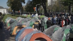 Protestatari ai Partidului Șor, indignați de intervenția poliției 