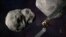 O ilustrație a sondei spațiale DART (Test de redirecționare a unui asteroid dublu) publicată de NASA. DART a surprins însă imagini, pe care le-a transmis pe Pământ, chiar înainte de impact.