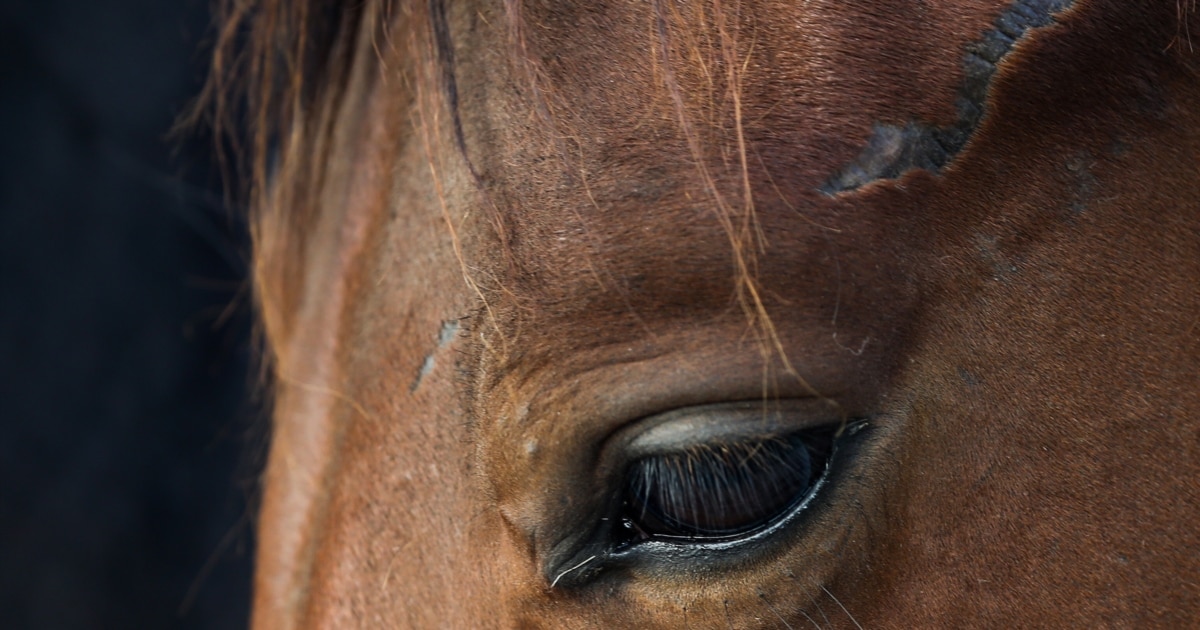 Қысқа орыс порно фильмдері