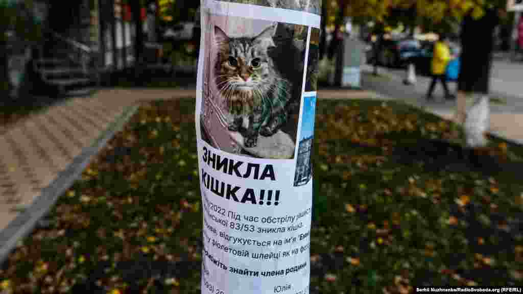 A flyer asks for help in finding a cat who disappeared during the missile attack. &quot;Emma&quot; was later found. &nbsp;