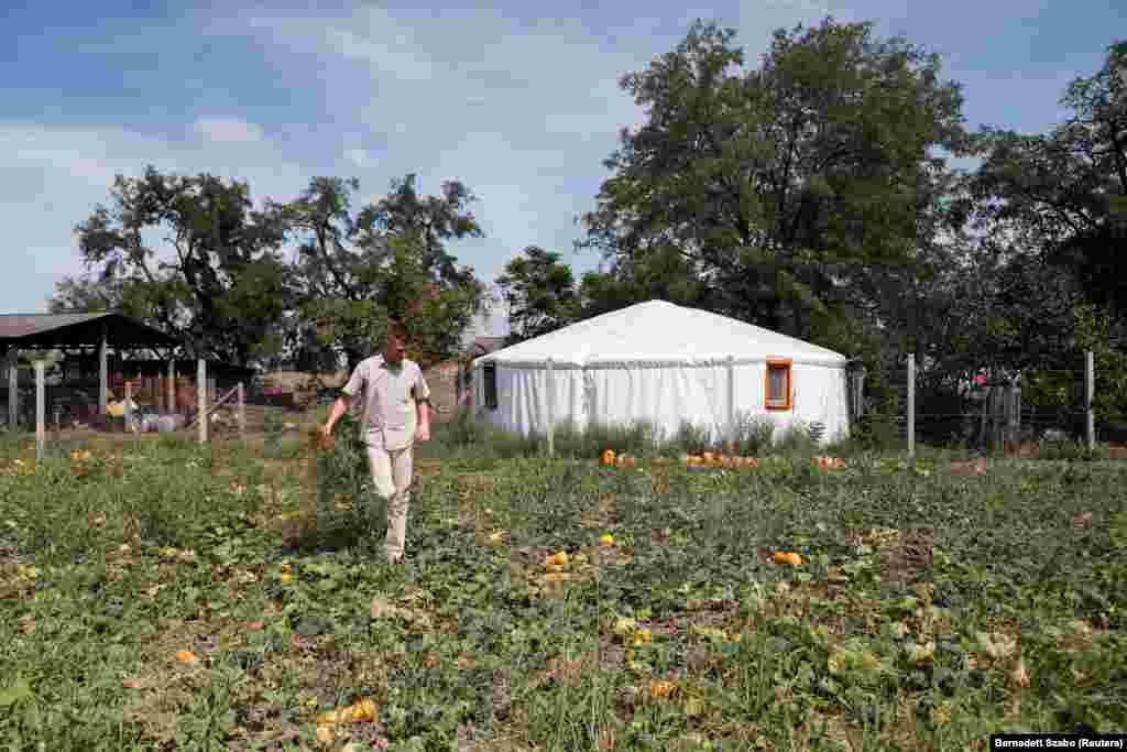A 28 éves Pogány Mihály biztosítási ügynök. A képen épp gyomlálja a Kecskemét melletti tanyáján lévő tökföldet, amely otthona, egy jurta mellett terül el.