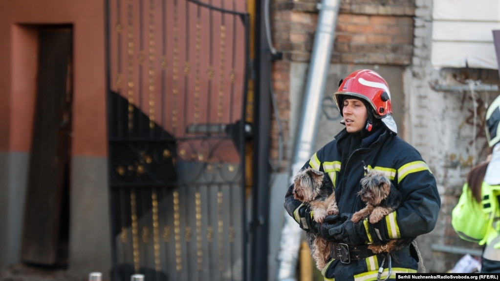 Українські рятувальники рятують не лише людей, а й тварин