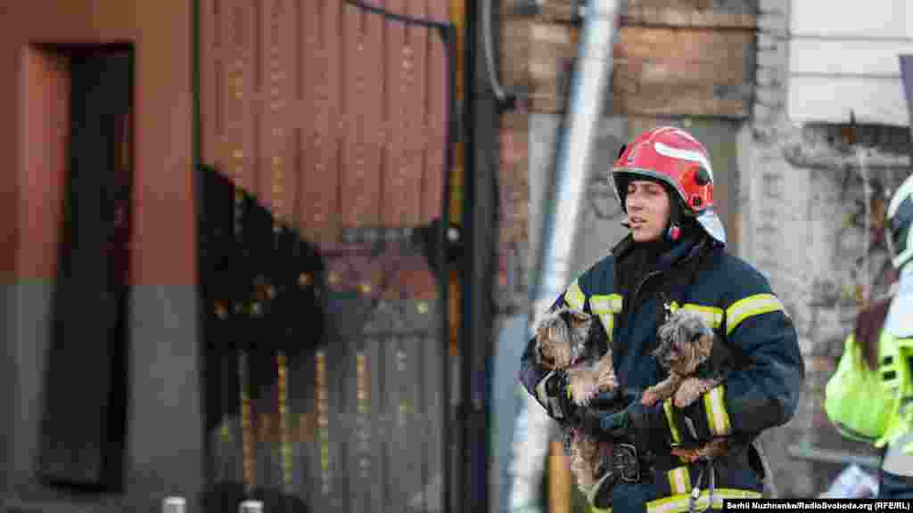 A rescuer carries two dogs outside the damaged 101 Tower skyscraper in Kyiv following Russian shelling on October 10.
