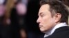 Elon Musk: "The hell with it." (file photo)