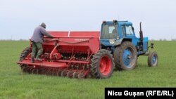 Agricultori din sudul Republicii Moldova lucrează în câmp cu un vechi tractor sovietic