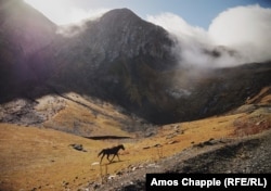 A horse breaks free from Ididze's herd to canter alone through the Tusheti mountains.