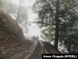 Ididze and Kotilaidze drive their herd through mist in the Tusheti mountains.