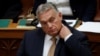Европейские депутаты усомнились в готовности Венгрии возглавить ЕС