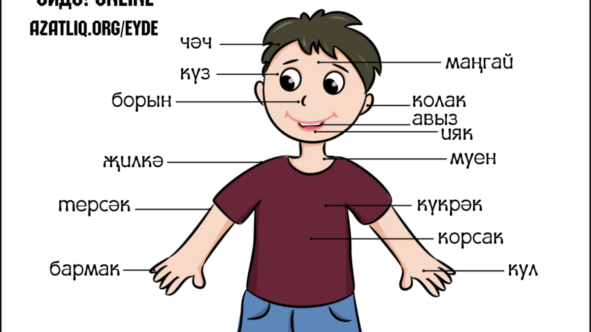 Список Parts of body. Name the Parts of the body головы. Shoulders bodyparts. Bodyparts фото.