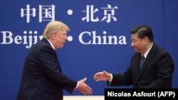 Președintele Xi Jinping cu omologul său american Donald Trump la Beijing, 9 noiembrie 2017