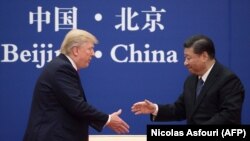 Xi Jinping (sağda) və Donald Trump Pekində görüş zamanı, 9 noyabr, 2017-ci il