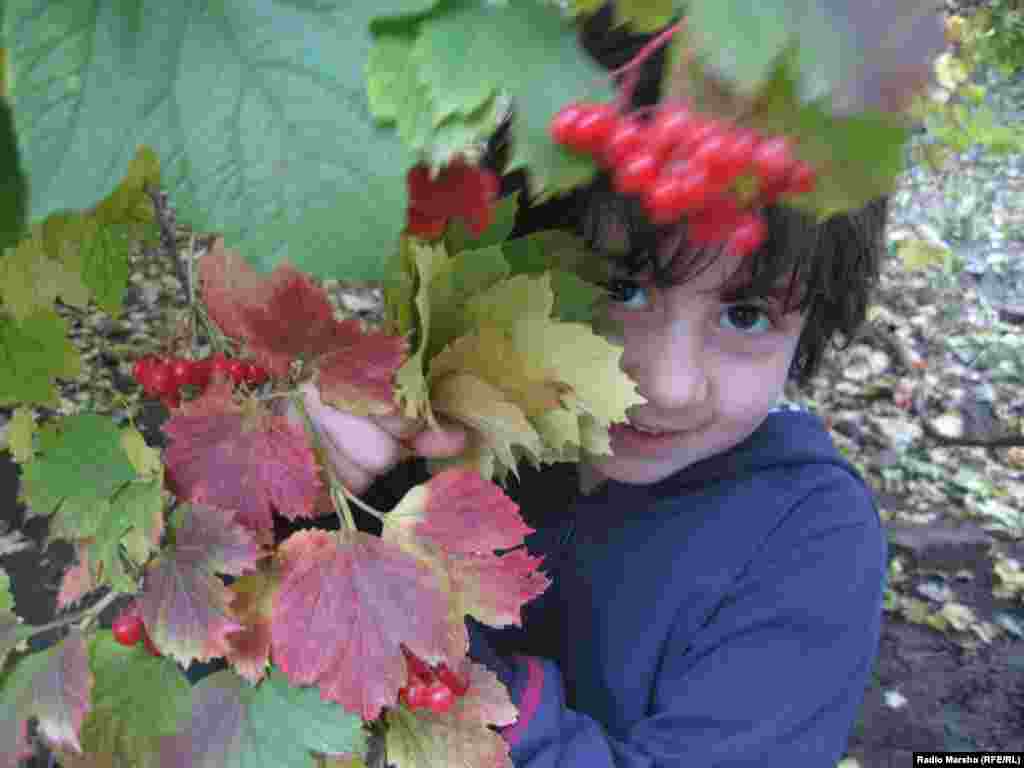 Нохчийчоь&nbsp;-- Нохчийн хьуьнан йоI.