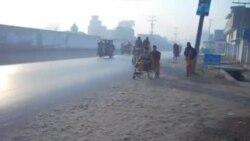 ګوزڼ وهلی مثل خان له تعلیم سره سره درزیتوب او کرکټ هم کوي