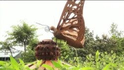 Гигантские инсталляции на уличной выставке в Вашингтоне