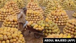 FILE: A worker pushes a wheelbarrow loaded with melons at a fruit market in the northwestern city of Peshawar on August 31.