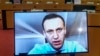 Navalnı videokonfransda