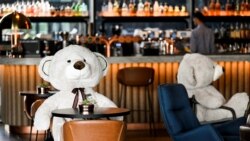 Plišani medvjedi kao mjera poštivanja fizičke distance, Priština, Kosovo