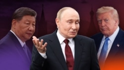 Си Цзиньпин, Владимир Путин, Дональд Трамп (коллаж)