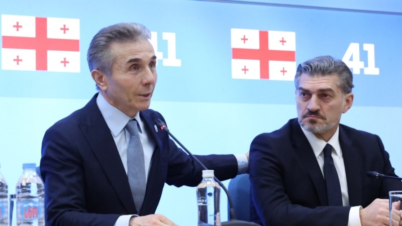 ყაველაშვილმა ისაუბრა მათზე, რომლებიც მას „ივანიშვილის ცხენად“ მოიხსენიებენ