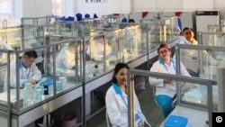 Озмоишгоҳи муассисаи таҳқиқоти зидди вабо дар Русия. Акс аз бойгонӣ