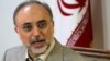 صالحی: ایران به ۲۰ مرکز غنی‌سازی نیاز دارد