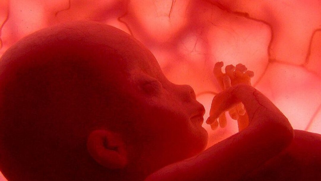 Xotinim bilan rus porno video