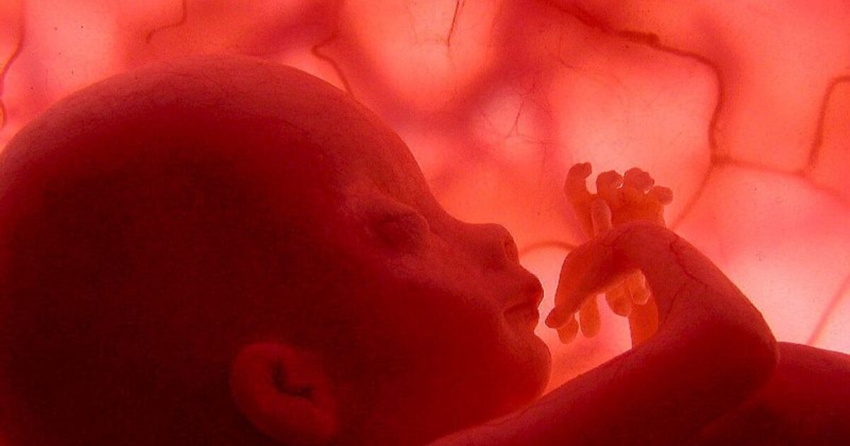 Er xotiniga uchlik sovgasini berdi. Er xotiniga uchlik sovgasini berdi.