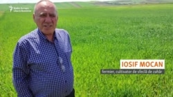 Iosif Mocan, despre importanța fabricii de zahăr Luduș pentru fermieri