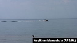 Прибрежная зона Каспийского моря. Мангистауская область, 2 августа 2014 года. Иллюстративное фото. 