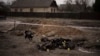 A dog stands next to six charred bodies lying on the ground in a residential area of Bucha, on the outskirts of Kyiv, on April 5, as evidence mounts that Russian soldiers may have committed war crimes in Ukraine. 