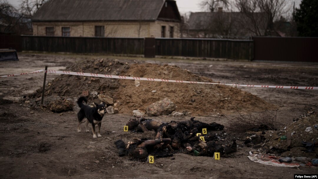 A dog stands next to six charred bodies lying on the ground in a residential area of Bucha, on the outskirts of Kyiv, on April 5, as evidence mounts that Russian soldiers may have committed war crimes in Ukraine. 