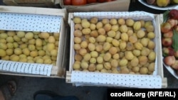 Испортившиеся абрикосы на рынках Коканда.
