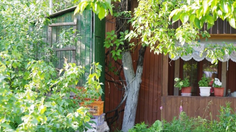 Власти Башкортостана анонсировали поддержку садоводов